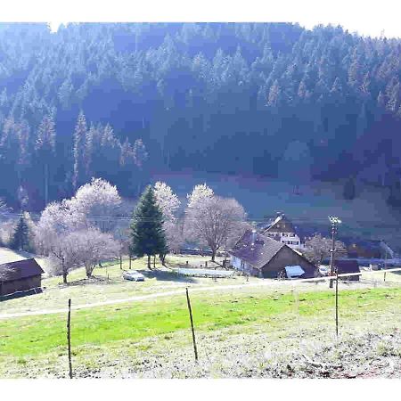 Ferienhaus Schwarzwald Seewald Erzgrube Badesee 100% Natur Экстерьер фото