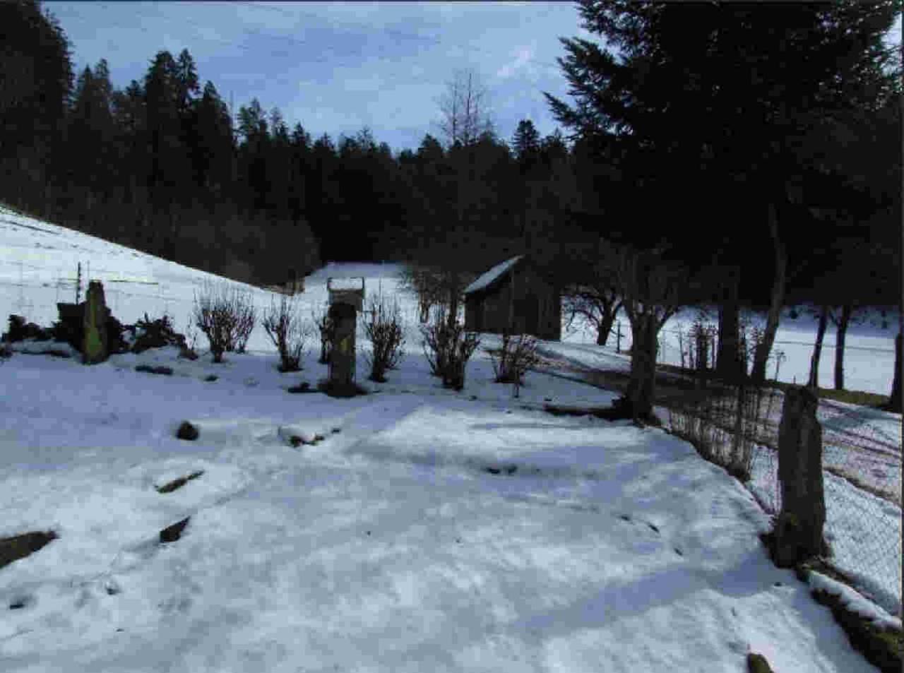 Ferienhaus Schwarzwald Seewald Erzgrube Badesee 100% Natur Экстерьер фото